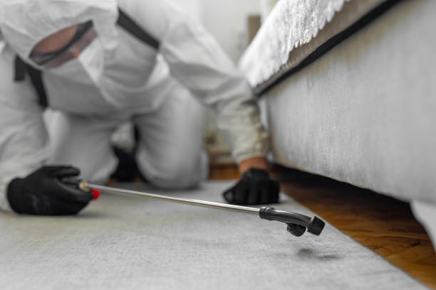Professional Bed Bug Control technician working in West Virginia, WV